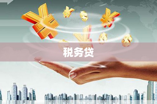 鄯善税务贷