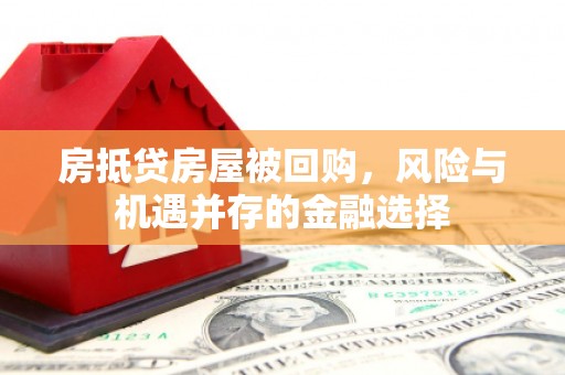 郧西房抵贷房屋被回购，风险与机遇并存的金融选择